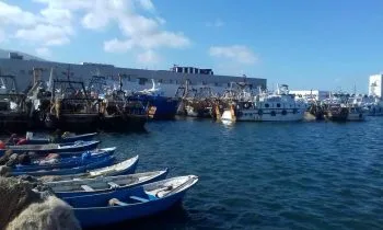 دعوة لحضور ورشة تشاركية لتخطيط المجال البحري للمحمية البحرية بالناظور
