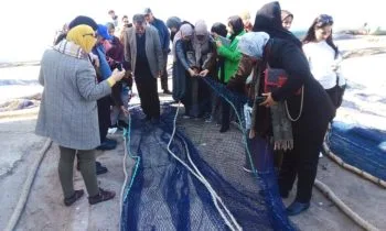 غرفة الصيد البحري المتوسطية بالناظور تواكب تأسيس تعاونية نسائية لترميم شباك الصيد بميناء بني أنصار