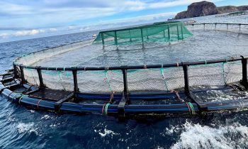 غرفة الصيد البحري المتوسطية تشجع برنامج المبادرات الاقتصادية والمندمجة لعمالة المضيق الفنيدق