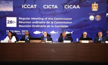 تحت رئاسة مغربية.. البرتغال تحتضن الدورة الاستثنائية الـ25 لـ«ICCAT»